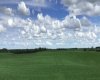 Field view 1,085 Acres of farmland for sale west of Two Hills Alberta Listed by Steve LeBlanc FarmForSale.ca