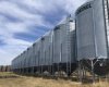 Grain Bin view 1,085 Acres of farmland for sale west of Two Hills Alberta Listed by Steve LeBlanc FarmForSale.ca