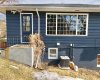 10702 101 Street, Peace River, Alberta T8S 1L1, 4 Bedrooms Bedrooms, ,2 BathroomsBathrooms,Residential,For Sale,101,A2306969