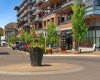 2231 Mahogany Boulevard, Calgary, Alberta T3M 3E1, 2 Bedrooms Bedrooms, ,2 BathroomsBathrooms,Residential,For Sale,Mahogany,A2306975