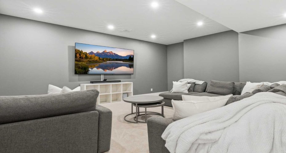 Theatre Room