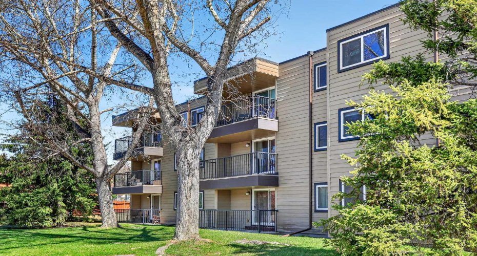 36 Glenbrook Crescent, Cochrane, Alberta T4C 1T2, 1 Bedroom Bedrooms, 0 ,1 BathroomBathrooms,Residential,For Sale,Glenbrook,0,A2308352