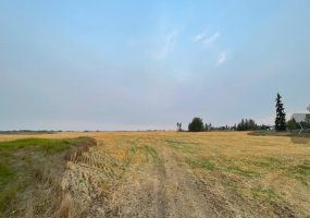 4;20;47;11;SW&4;20;47;2 833 HWY NORTH, Camrose, Alberta T4V 4Z8, ,Land,For Sale,833 HWY NORTH,A2046357