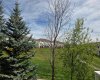 Beautiful green space
