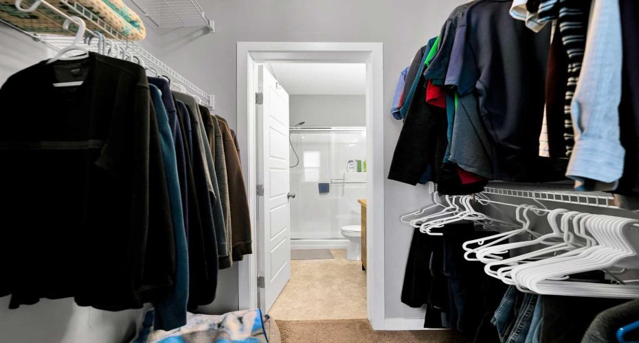 Walkthrough closet