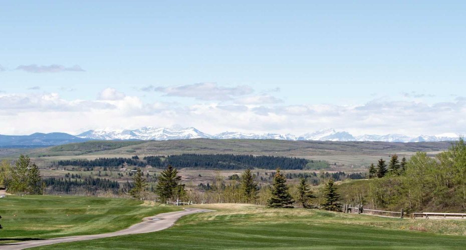 Spring Community Photo