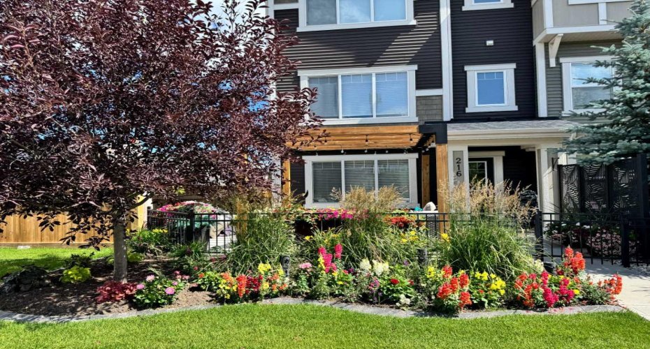Welcome Home (Pictures from Summer 2025)