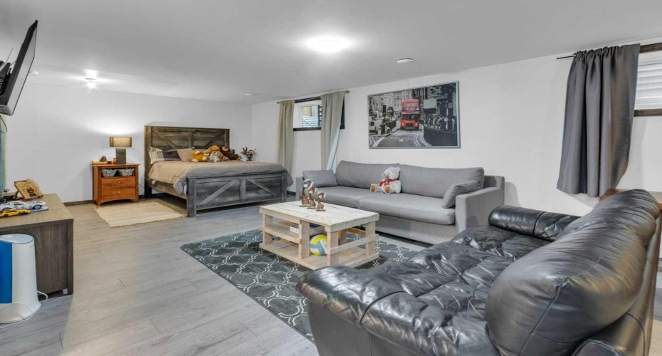 Basement family room