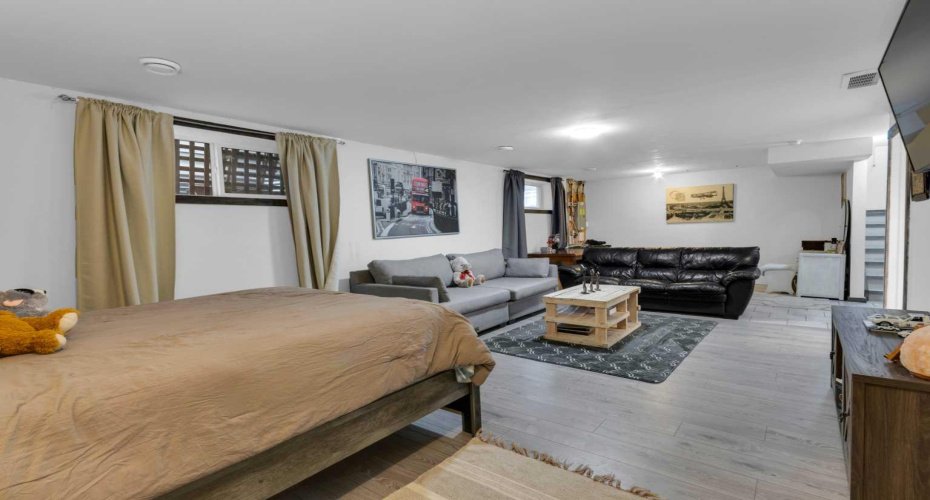 Basement family room