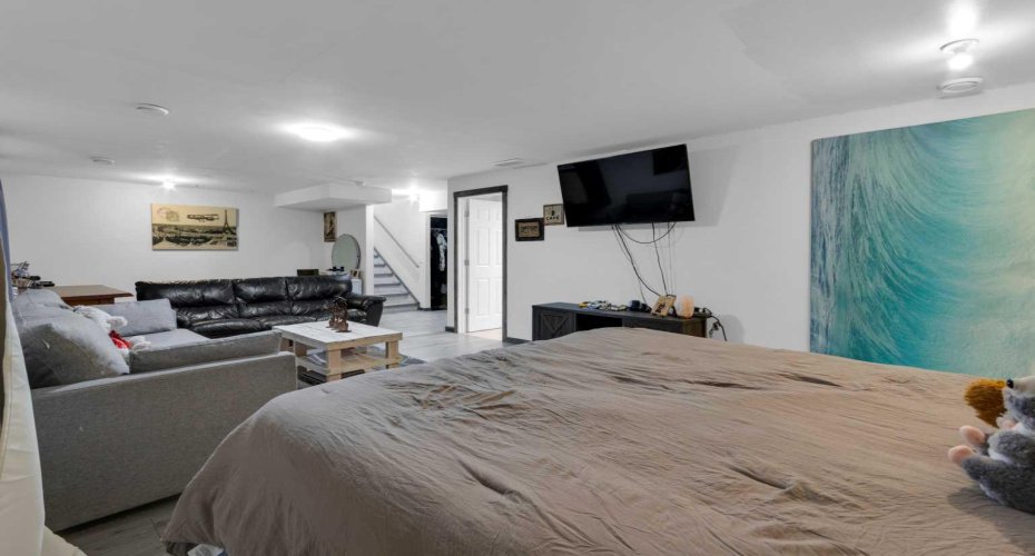 Basement family room