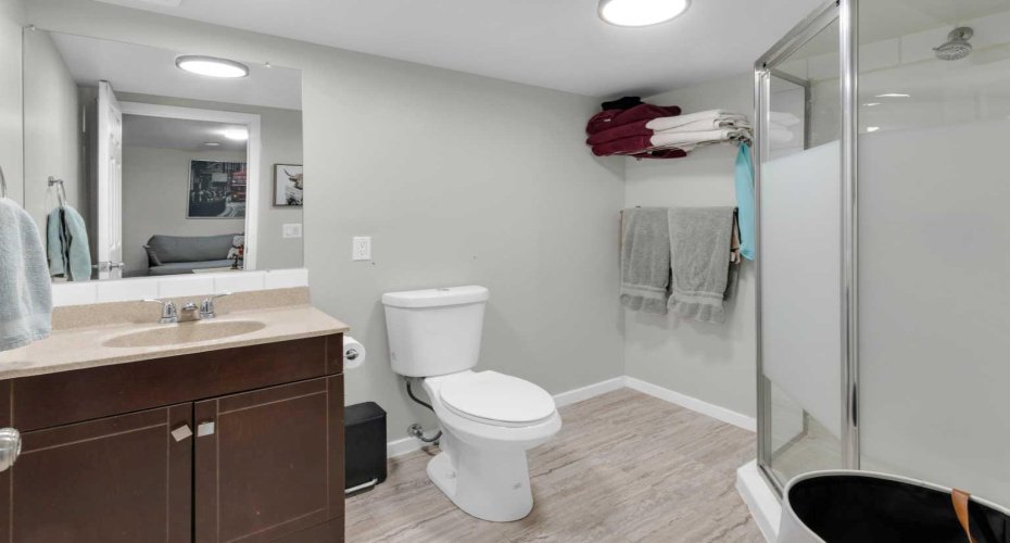 Basement bathroom