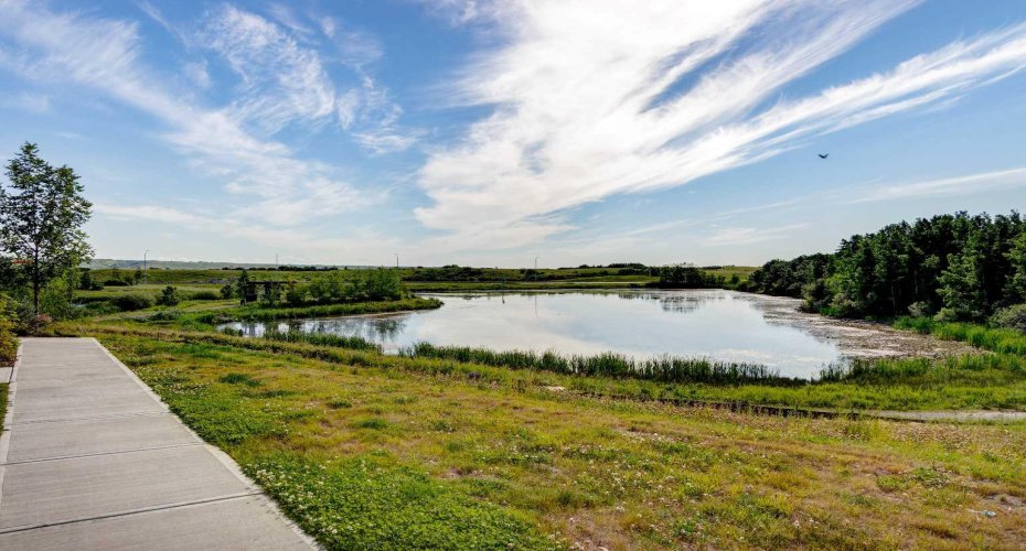 Pond