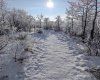 207 Sunset Drive, Cochrane, Alberta T4C 0H7, 1 Bedroom Bedrooms, ,1 BathroomBathrooms,Residential,For Sale,Sunset,A2316317