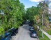 Beautiful, mature, tree lined street.
