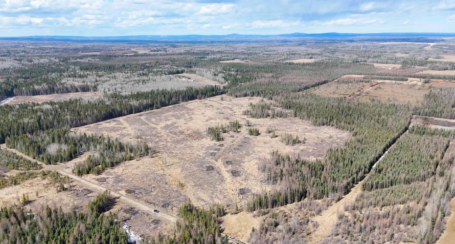 53428 Range Road 170, Edson, Alberta T7E1V7, ,Land,For Sale,Range Road 170,A2308387