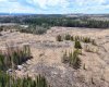 53428 Range Road 170, Edson, Alberta T7E1V7, ,Land,For Sale,Range Road 170,A2308387