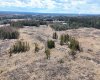 53428 Range Road 170, Edson, Alberta T7E1V7, ,Land,For Sale,Range Road 170,A2308387
