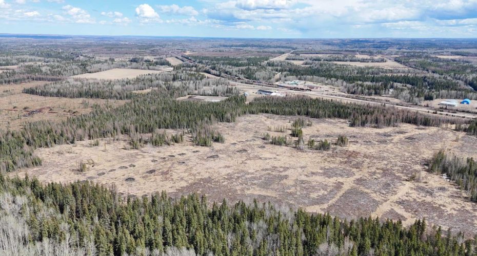 53428 Range Road 170, Edson, Alberta T7E1V7, ,Land,For Sale,Range Road 170,A2308387