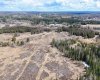 53428 Range Road 170, Edson, Alberta T7E1V7, ,Land,For Sale,Range Road 170,A2308387