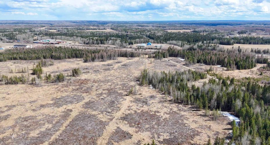 53428 Range Road 170, Edson, Alberta T7E1V7, ,Land,For Sale,Range Road 170,A2308387