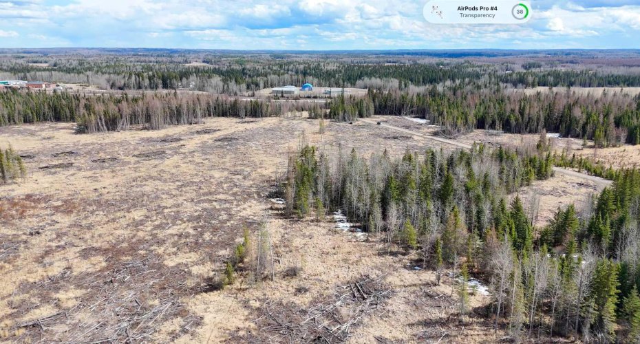 53428 Range Road 170, Edson, Alberta T7E1V7, ,Land,For Sale,Range Road 170,A2308387