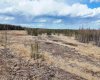 53428 Range Road 170, Edson, Alberta T7E1V7, ,Land,For Sale,Range Road 170,A2308387