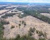 53428 Range Road 170, Edson, Alberta T7E1V7, ,Land,For Sale,Range Road 170,A2308387
