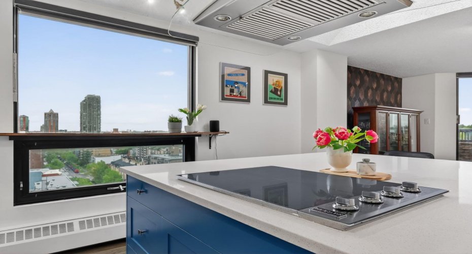 Your view while cooking in style