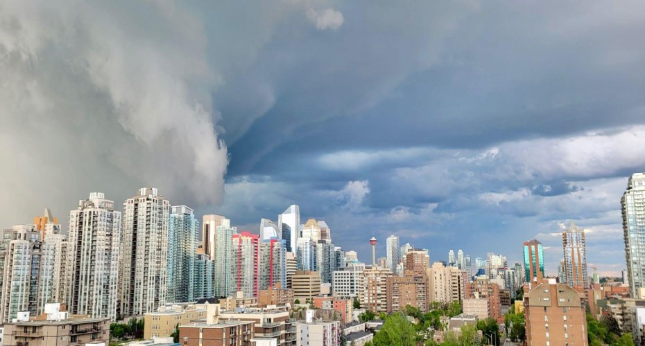 Storm watching - owners picture