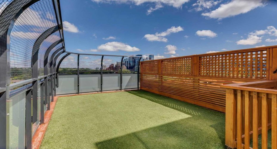Dog run on rooftop