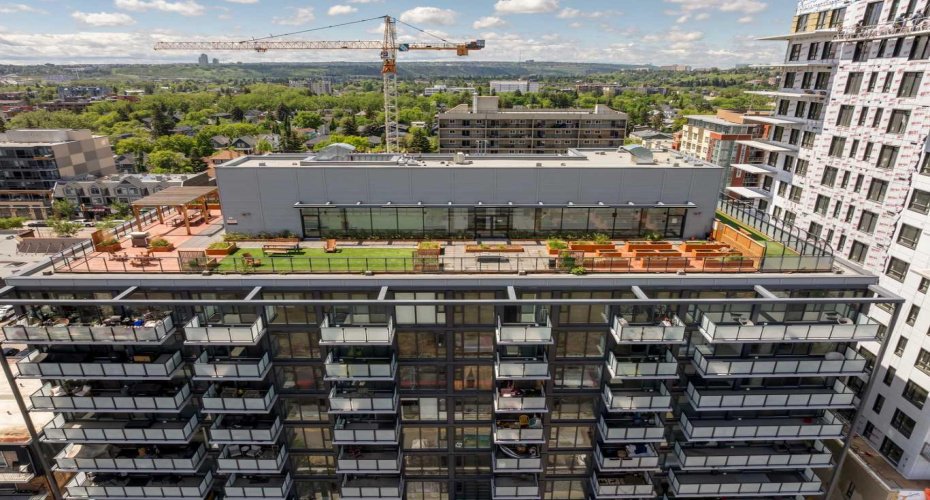 Rooftop patio with dog run