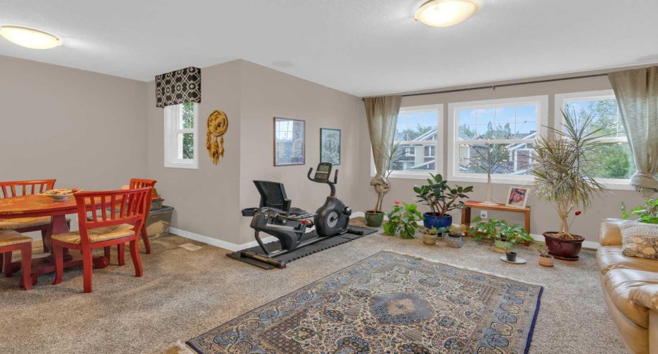 Overflow of natural sunlight in Bonus Room
