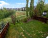 Beautiful Back Yard