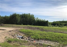 Lot 7 and 8 Campsite Road, Plamondon, Alberta T0A 2T0, ,Land,For Sale,Campsite Road,A2122017