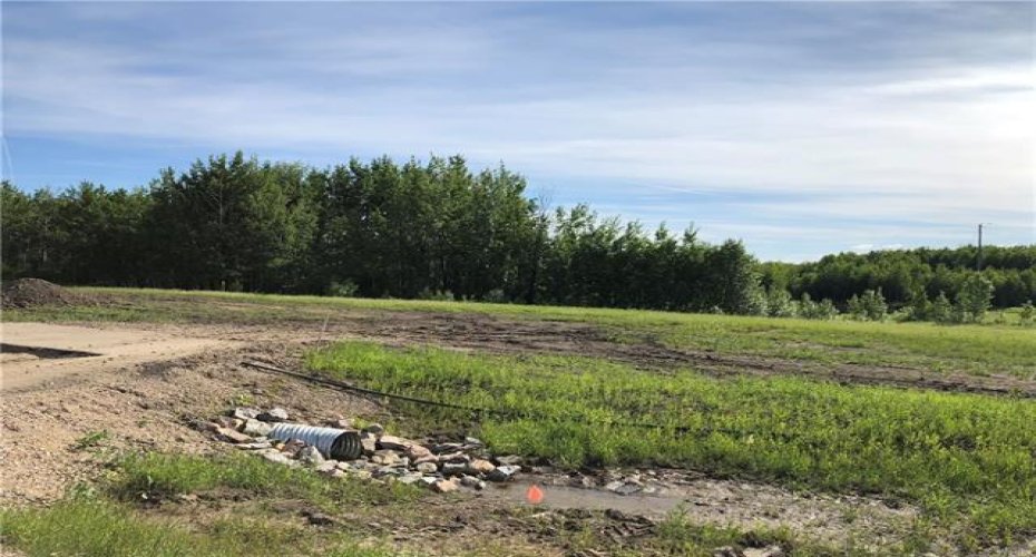 Lot 7 and 8 Campsite Road, Plamondon, Alberta T0A 2T0, ,Land,For Sale,Campsite Road,A2122017