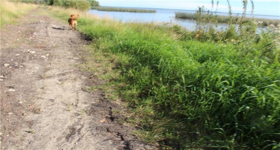 Lot 7 and 8 Campsite Road, Plamondon, Alberta T0A 2T0, ,Land,For Sale,Campsite Road,A2122017