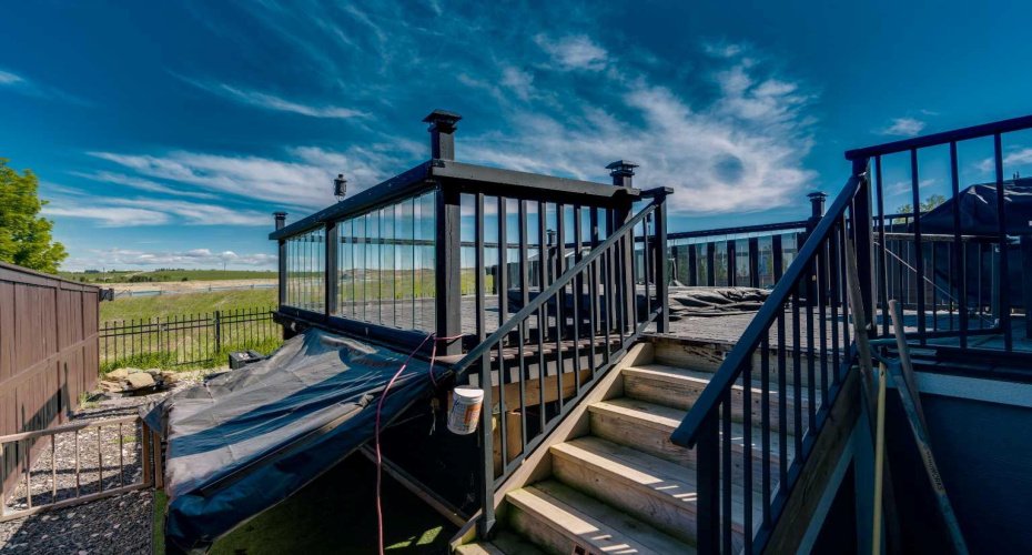 View of backyard.