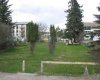 5328 4 AVE, Edson, Alberta T7E 1L4, ,Land,For Sale,4 AVE,AWI17726