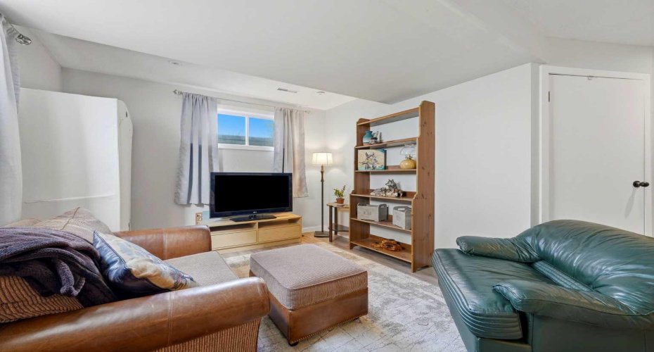 Basement living area