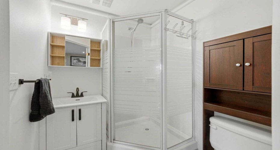 En-suite bathroom basement