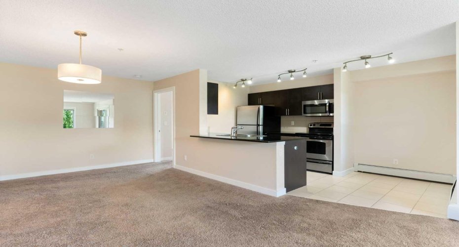 Large Open Floor Plan