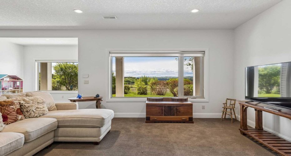 Basement recreation room