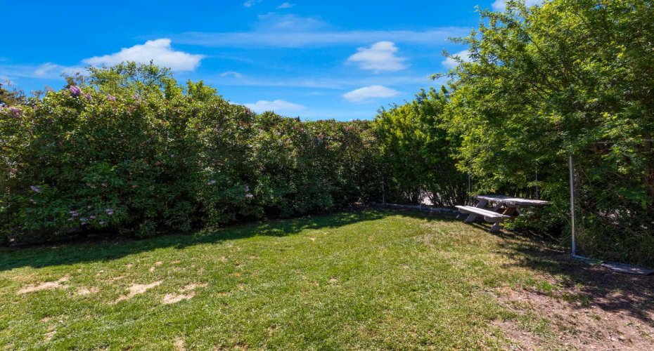 Private Back Yard