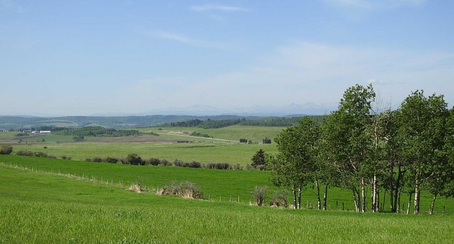 79.41 Acres SE-13-22-3W5, Rural Foothills County, Alberta T1S 2T7, ,Land,For Sale,79.41 Acres SE-13-22-3W5,A2057428