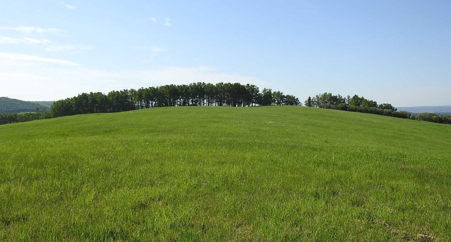 79.41 Acres SE-13-22-3W5, Rural Foothills County, Alberta T1S 2T7, ,Land,For Sale,79.41 Acres SE-13-22-3W5,A2057428