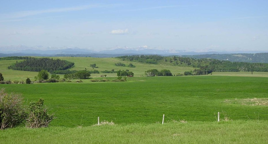 79.41 Acres SE-13-22-3W5, Rural Foothills County, Alberta T1S 2T7, ,Land,For Sale,79.41 Acres SE-13-22-3W5,A2057428