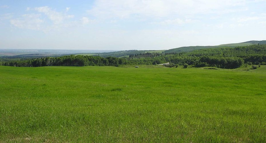 79.41 Acres SE-13-22-3W5, Rural Foothills County, Alberta T1S 2T7, ,Land,For Sale,79.41 Acres SE-13-22-3W5,A2057428