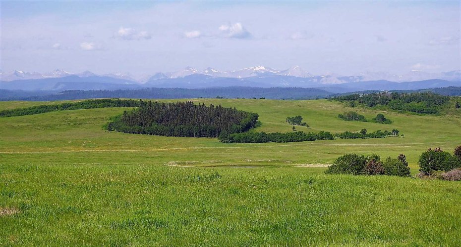 79.41 Acres SE-13-22-3W5, Rural Foothills County, Alberta T1S 2T7, ,Land,For Sale,79.41 Acres SE-13-22-3W5,A2057428