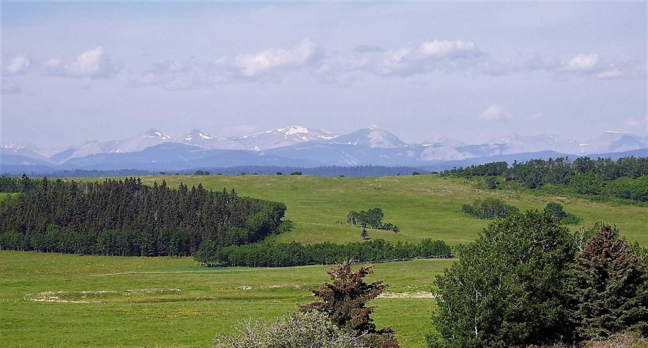 79.41 Acres SE-13-22-3W5, Rural Foothills County, Alberta T1S 2T7, ,Land,For Sale,79.41 Acres SE-13-22-3W5,A2057428