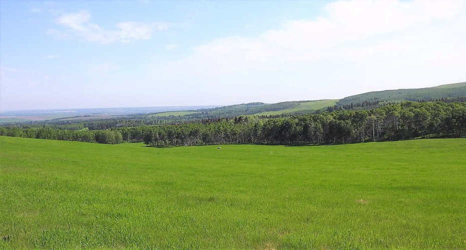 79.41 Acres SE-13-22-3W5, Rural Foothills County, Alberta T1S 2T7, ,Land,For Sale,79.41 Acres SE-13-22-3W5,A2057428